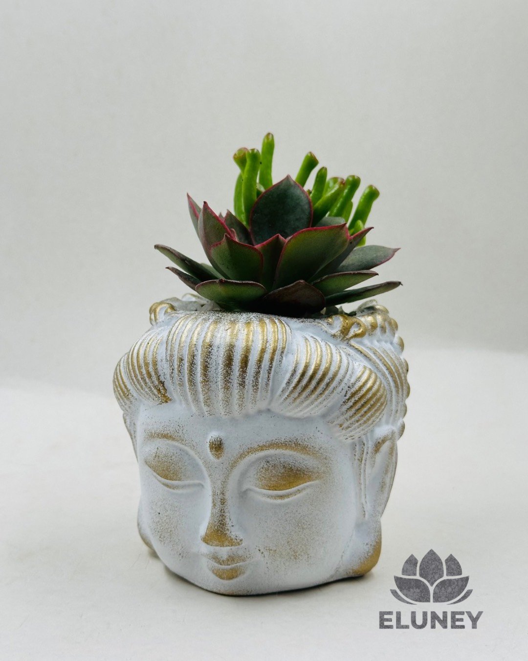 Maceta Buda *No incluye plantas*